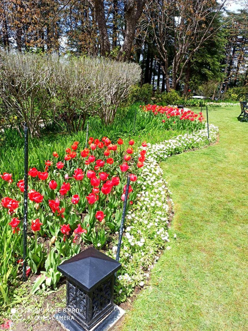 Seasonal flower beds